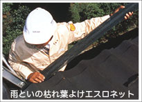 �J�Ƃ��̌͂�t�悯�G�X���l�b�g