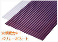 �|���J�[�{�l�[�g