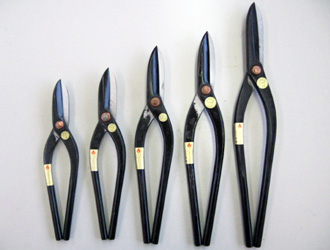 �����@����@����ł����n