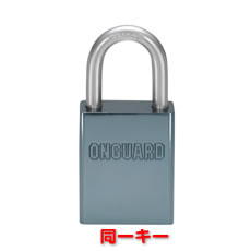 OnGuard�@���f��862KA�@�A���~��2�_���p�b�h���b�N�@X2P�V���[�Y