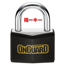 OnGuard�@���f��877KA�@�A���~��2�_���p�b�h���b�N�@X2P�V���[�Y